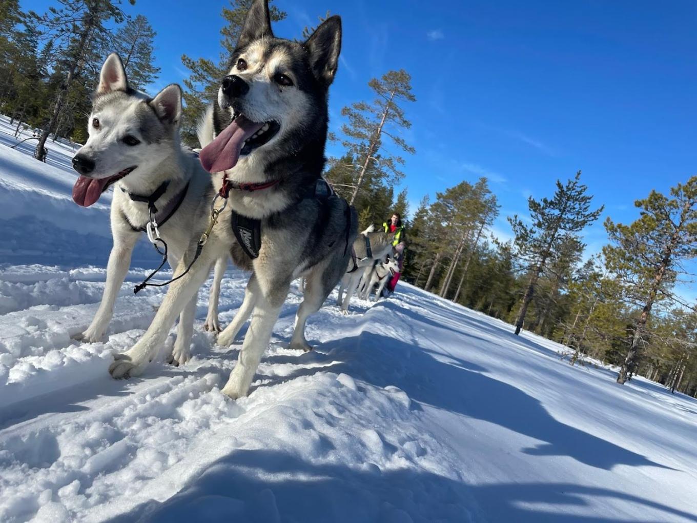 Apartmán Ladansloft Stöllet Exteriér fotografie