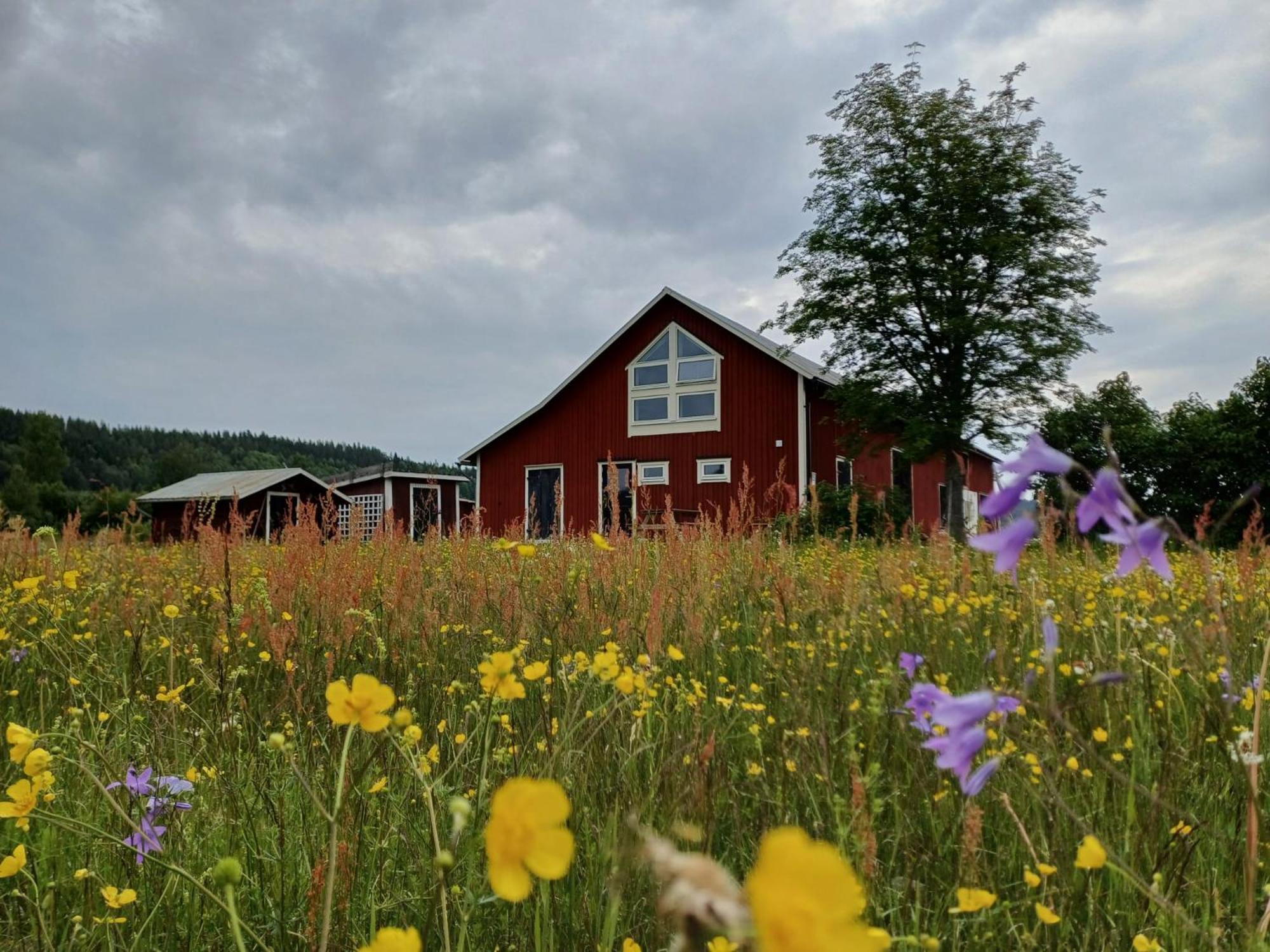 Apartmán Ladansloft Stöllet Exteriér fotografie